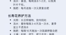 冬季仙客来养护指南（寒冷季节如何维护仙客来的生长与健康）