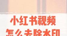 如何去除小视频水印？（简单有效的方法让你的小视频无水印）