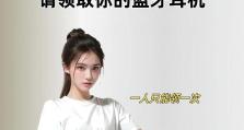 以声之美耳机（颠覆听觉体验的高品质耳机）