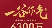 以博将资本怎么样？（探索以博将资本的投资策略和效果）