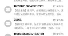 应对网贷骚扰电话的最佳策略（摆脱网贷骚扰电话困扰，保护个人信息安全的实用方法）