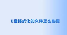 新手必备（轻松教你恢复格式化的U盘数据，避免数据丢失的烦恼）