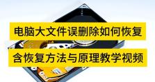 电脑文件删除恢复的终极指南（手把手教你恢复电脑删除的文件）