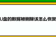 U盘照片删除恢复方法大揭秘（如何通过简单步骤恢复误删除的U盘照片）