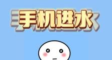 智能手机掉水后的正确处理方法（保护你的手机，避免水液损害）