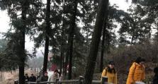 探寻以马鞍山威博的魅力（一座令人难以忘怀的自然乐园）