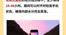 手机掉水里没声音怎么办,手机遇水无声急救指南