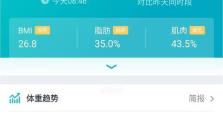 大白菜7.3u盘装系统教程（轻松学会大白菜7.3u盘装系统，让电脑重获新生）