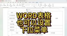 使用表格设置下拉选项的办法（简单易懂的教程帮你学会设置下拉选项）