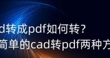 苹果电脑Cad出现错误的解决方法（解决苹果电脑上Cad软件出错的有效技巧）