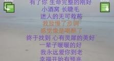 无U盘绕ID最新教程（告别U盘，用更便捷的方法传输和备份数据）